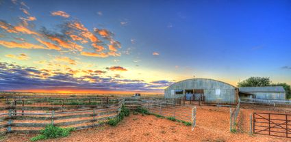 Bucklow Station - Woolshed - NSW T (PB5D 00 2670)